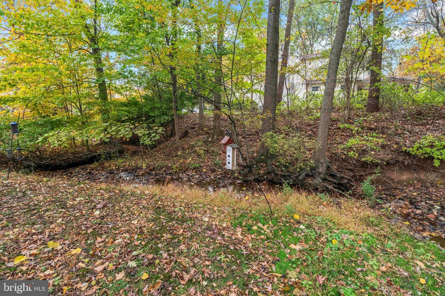 245 Hampshire Drive photo 20