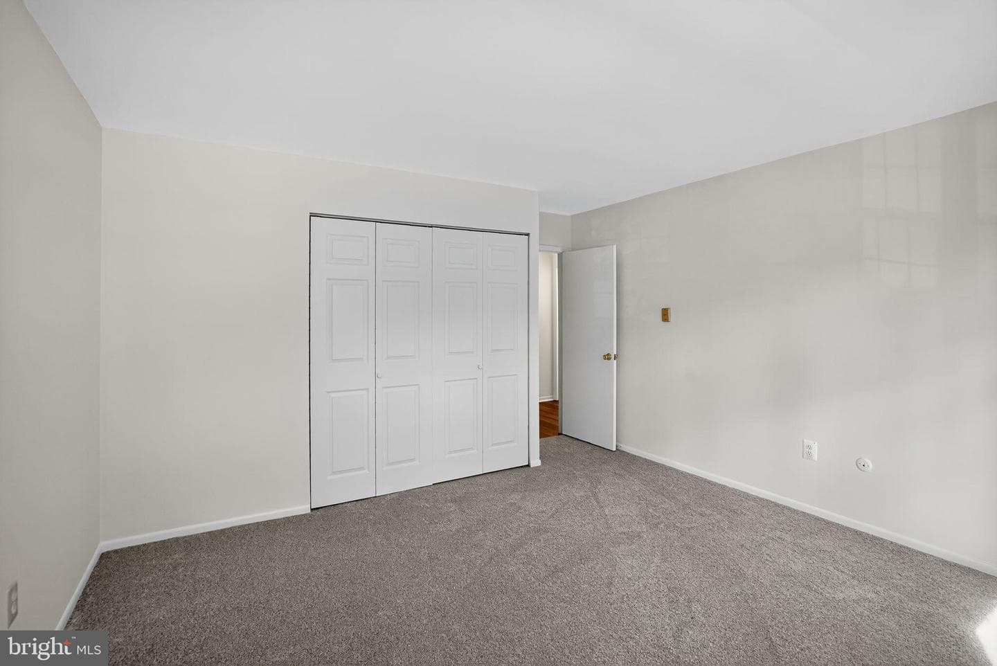 178 Elephant Road #a6 photo 11