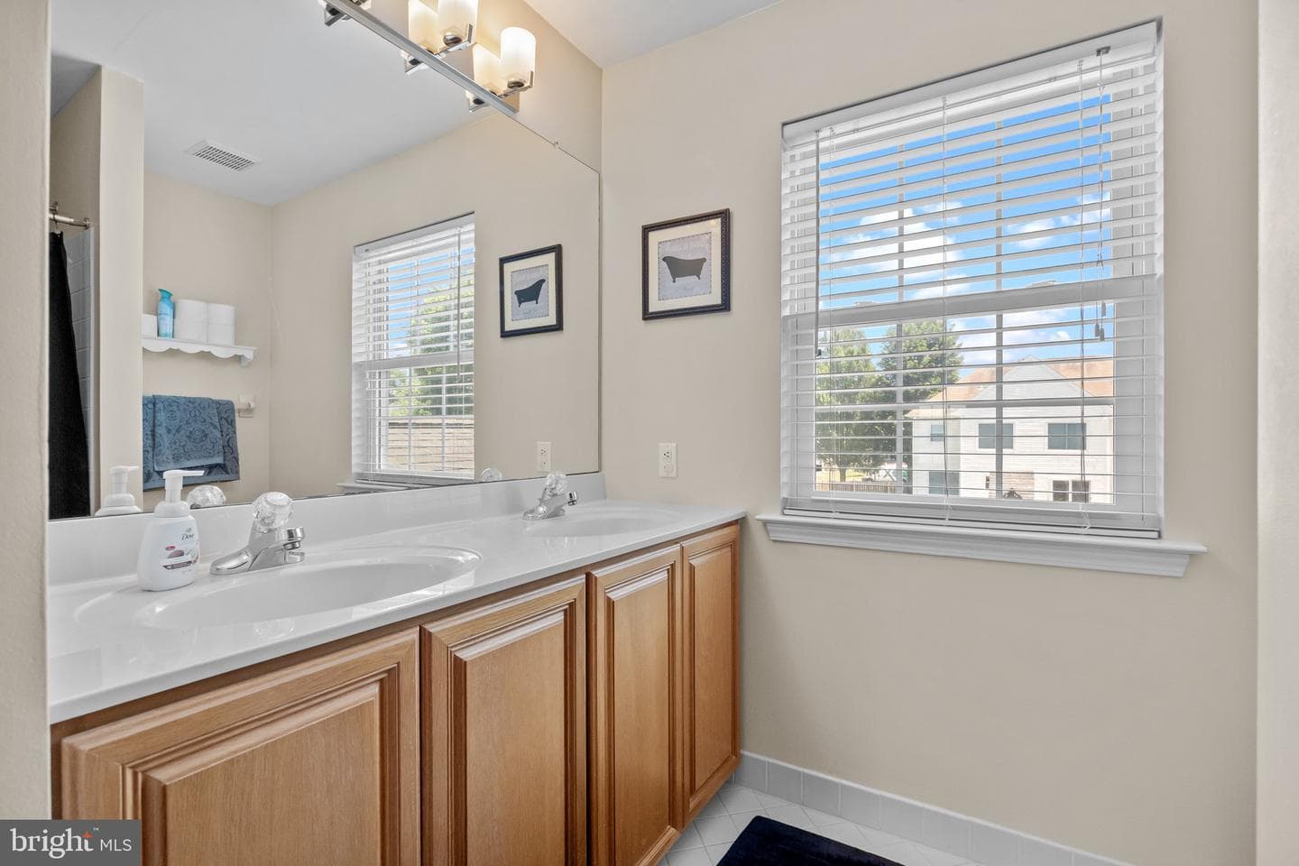 523 Turtle Lane photo 19
