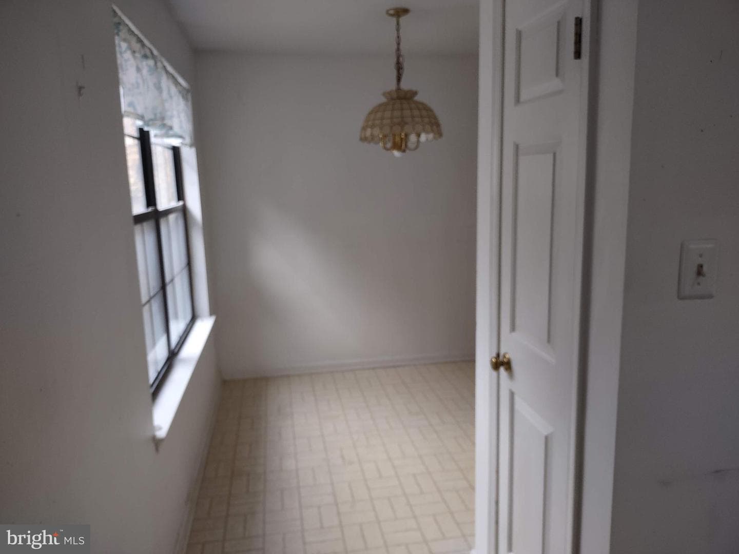 244 Sassafras Court photo 10