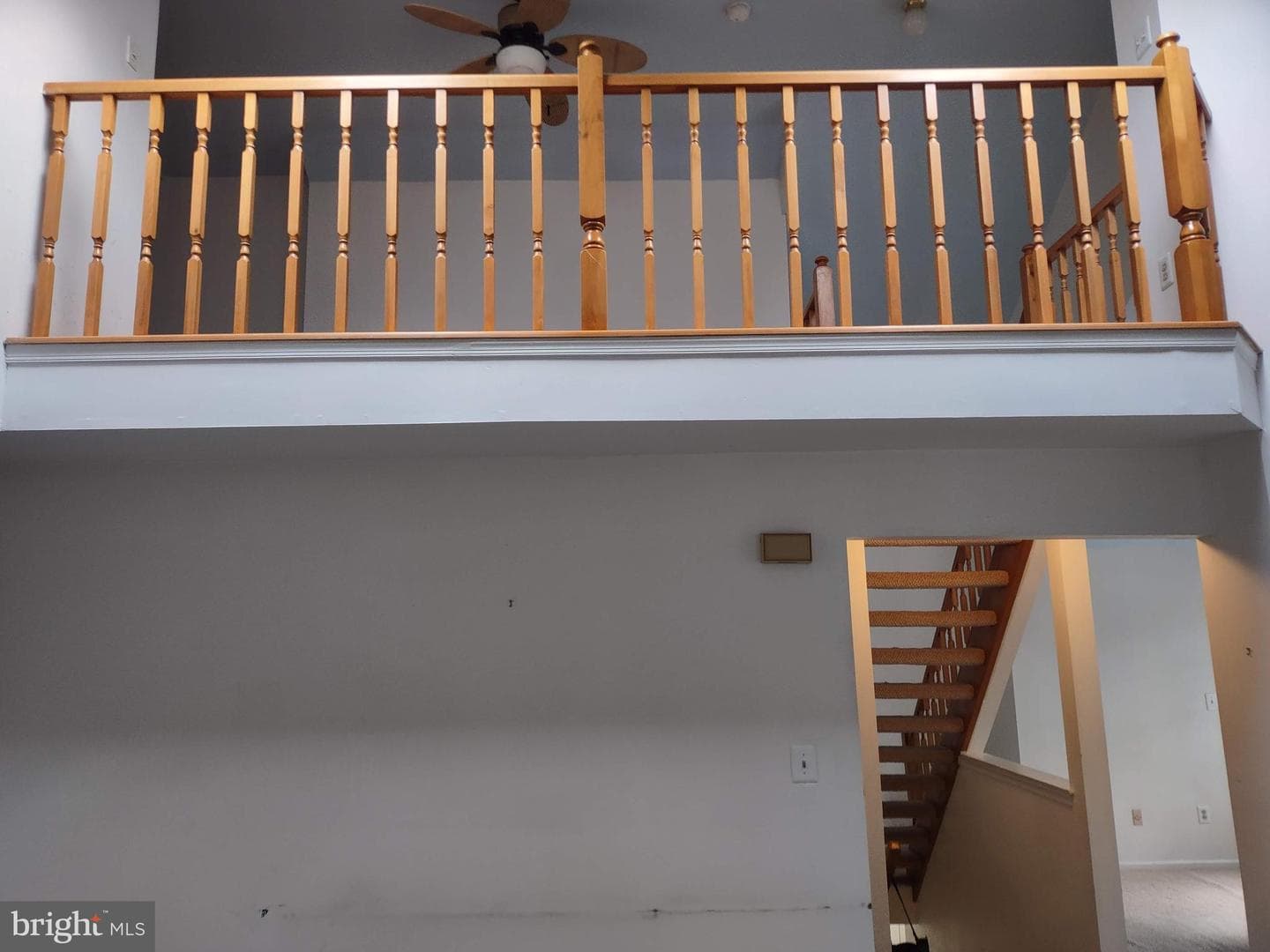 244 Sassafras Court photo 12