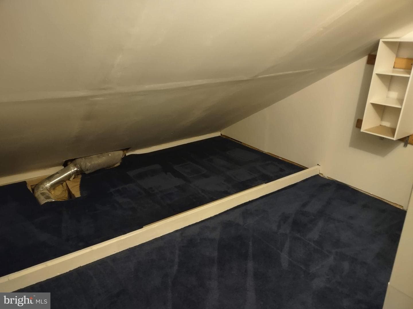 244 Sassafras Court photo 18
