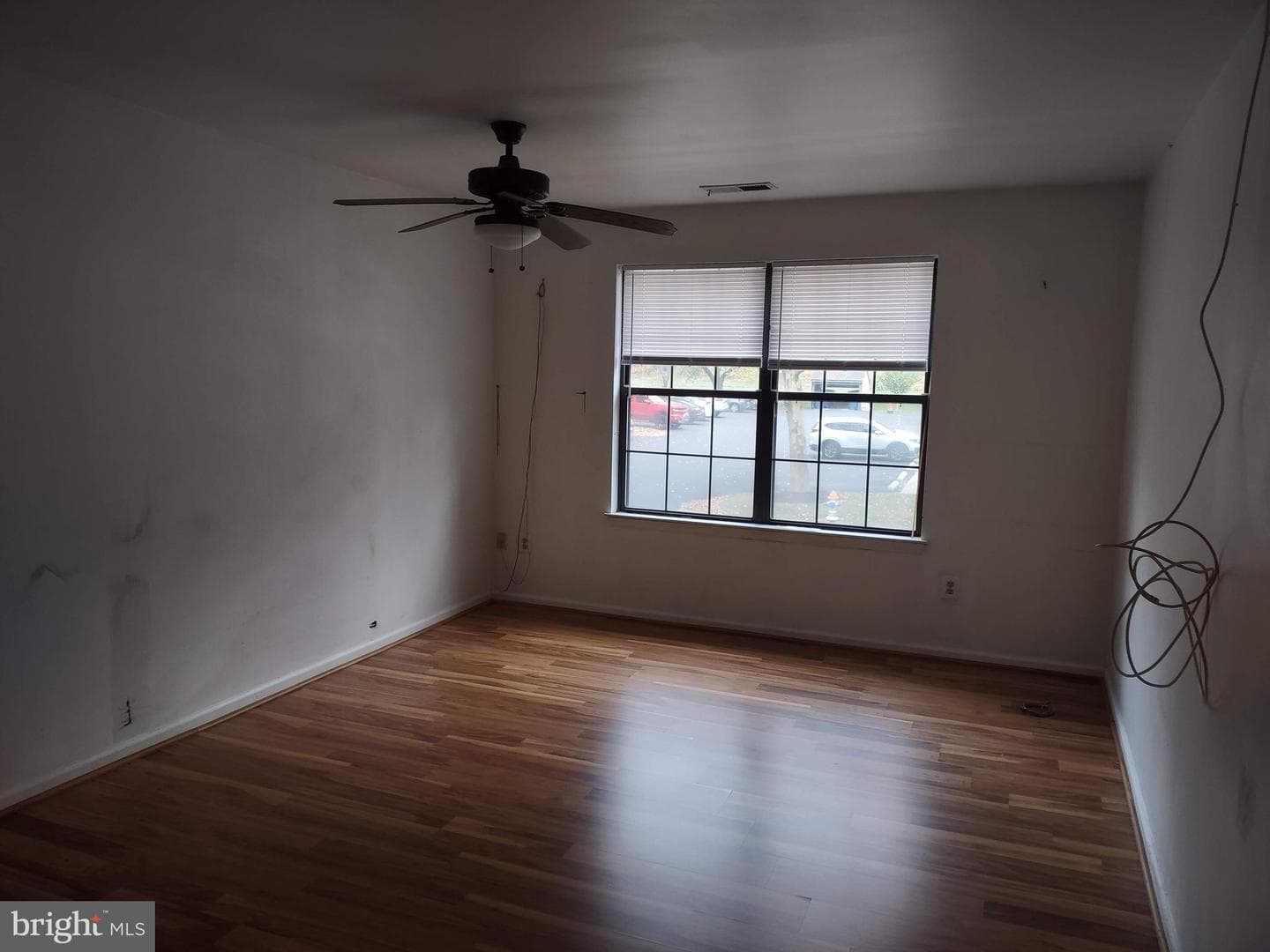 244 Sassafras Court photo 19