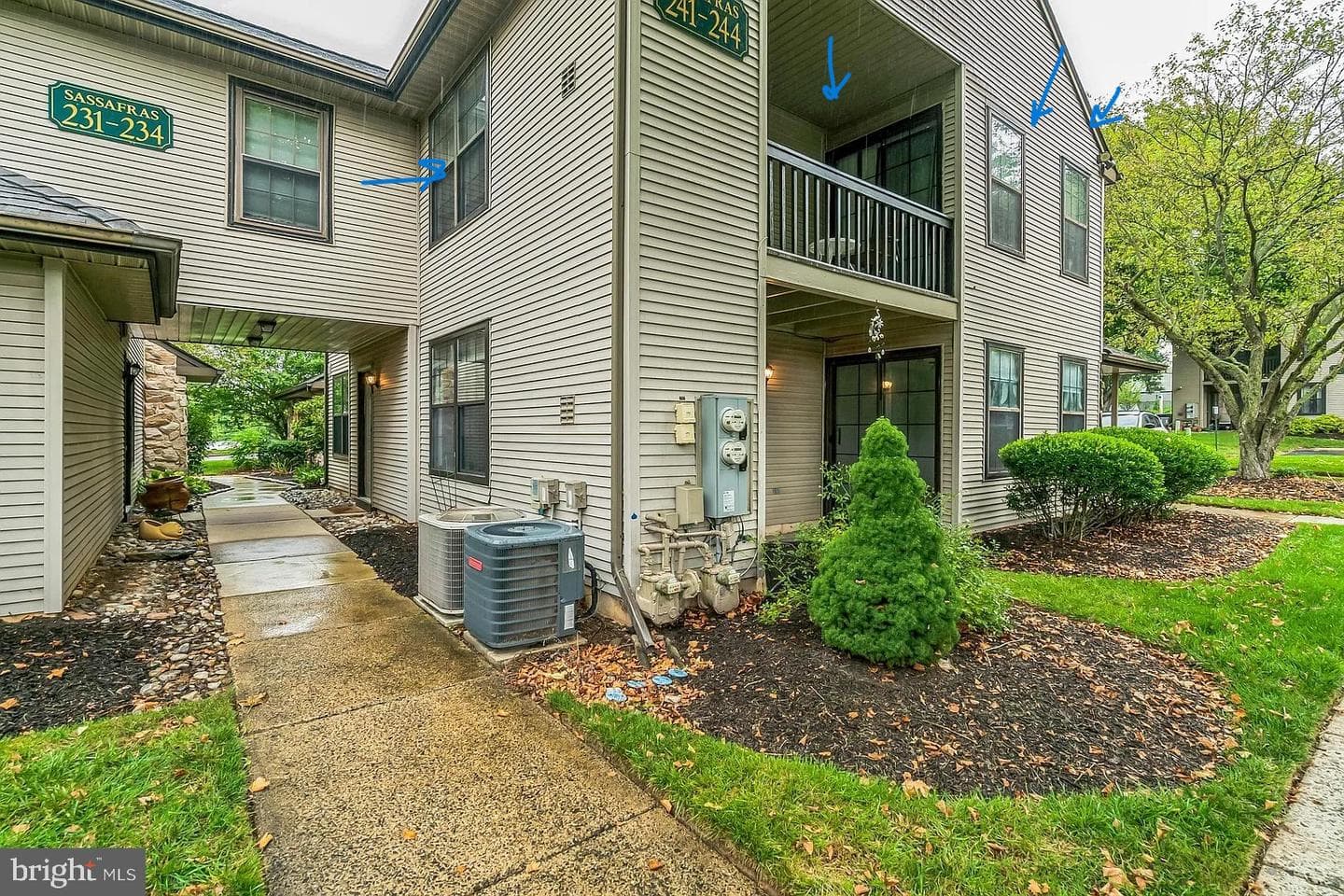 244 Sassafras Court photo 2