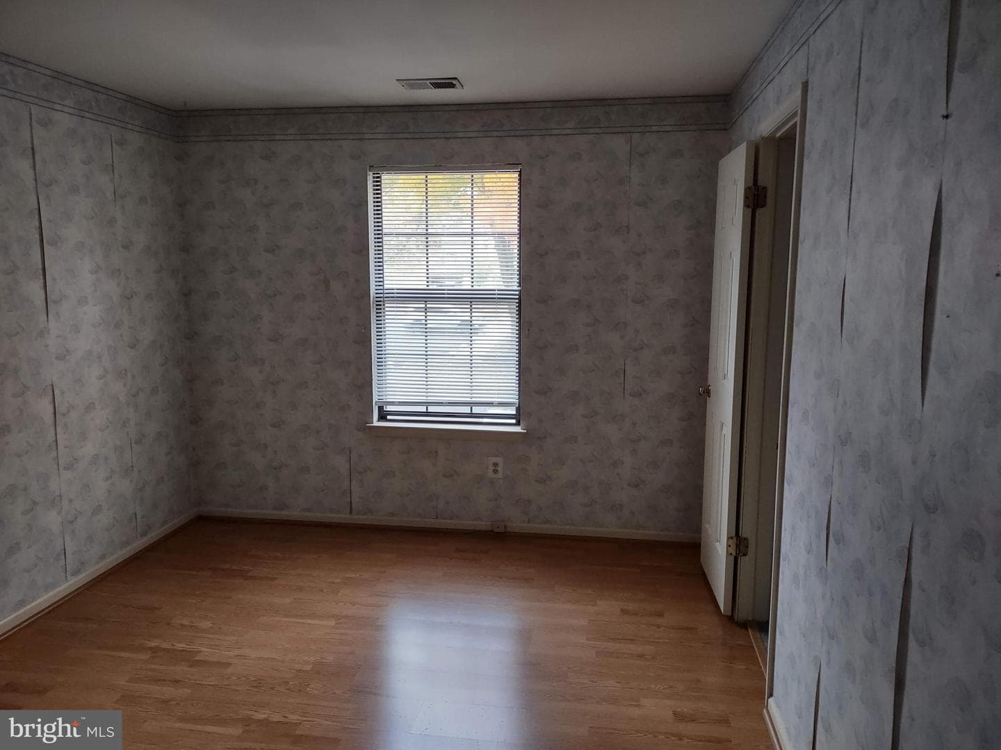 244 Sassafras Court photo 20