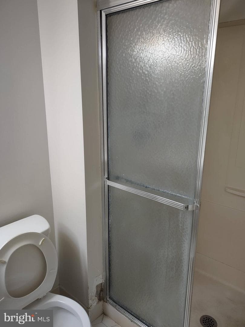 244 Sassafras Court photo 24