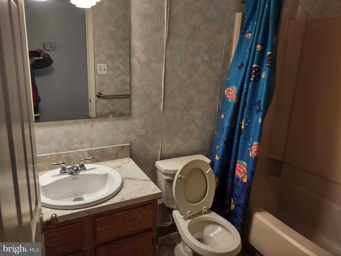 244 Sassafras Court photo 25