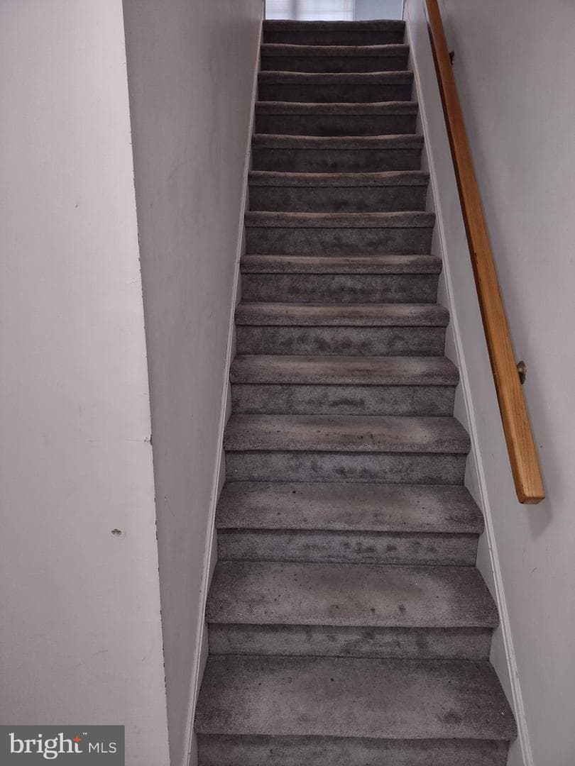 244 Sassafras Court photo 6