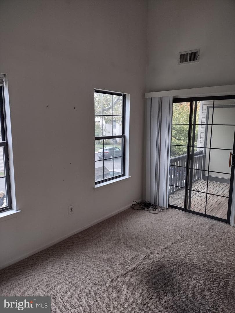 244 Sassafras Court photo 7