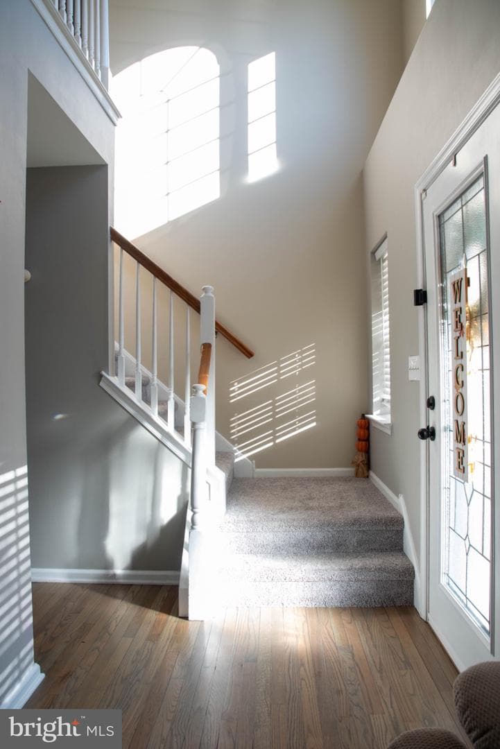 1134 Virginia Way photo 4