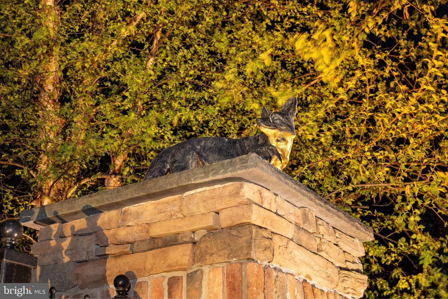 127 Fairhill School Road photo 66