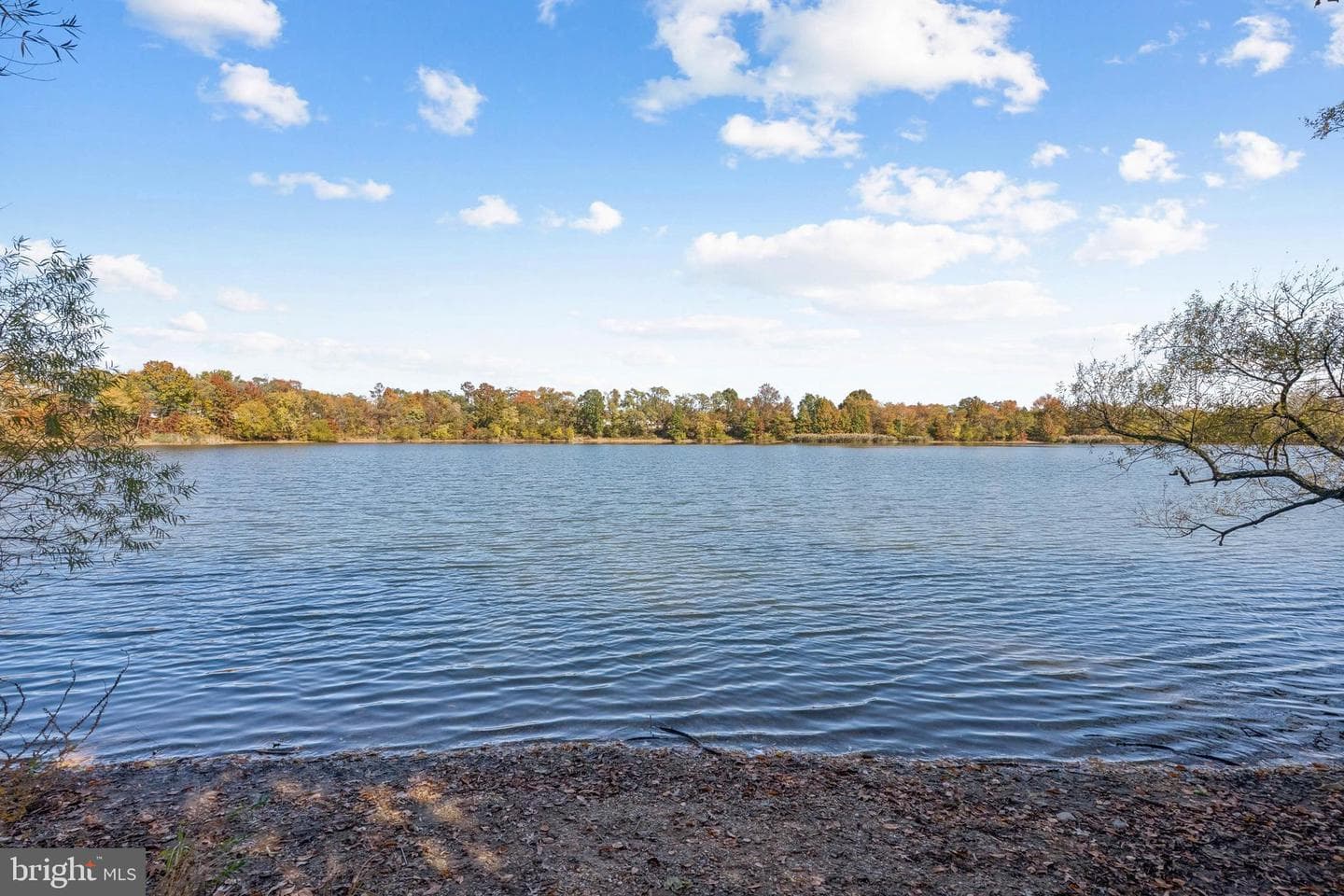 466 Lakeside Drive photo 25