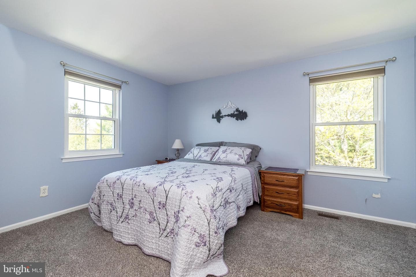 105 Birchwood Drive photo 19