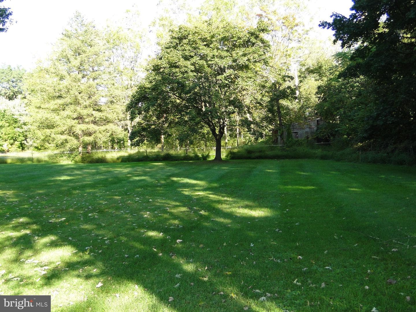 2365 E Swamp Road photo 30