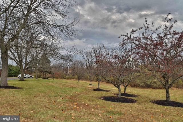 415 Wexford Way photo 23