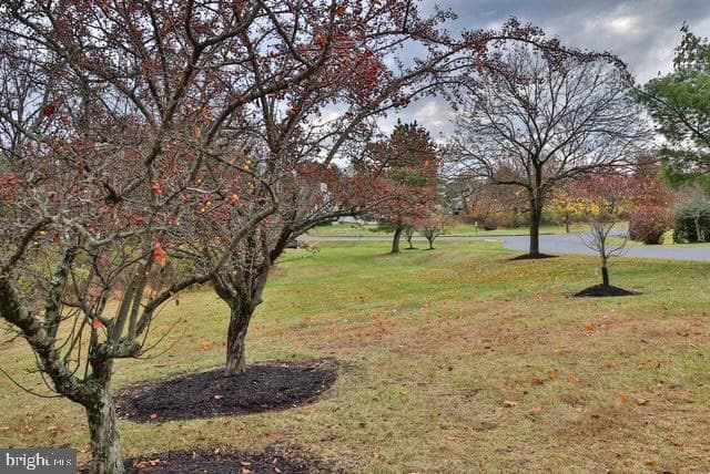 415 Wexford Way photo 24