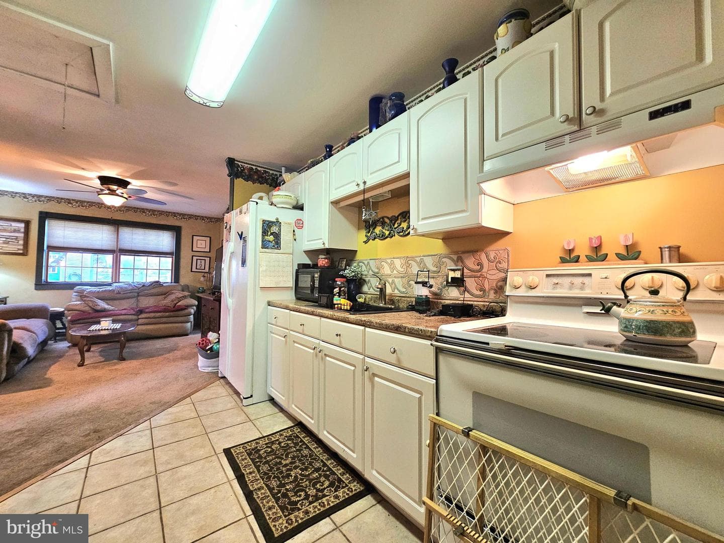 243 Linden Lane photo 14