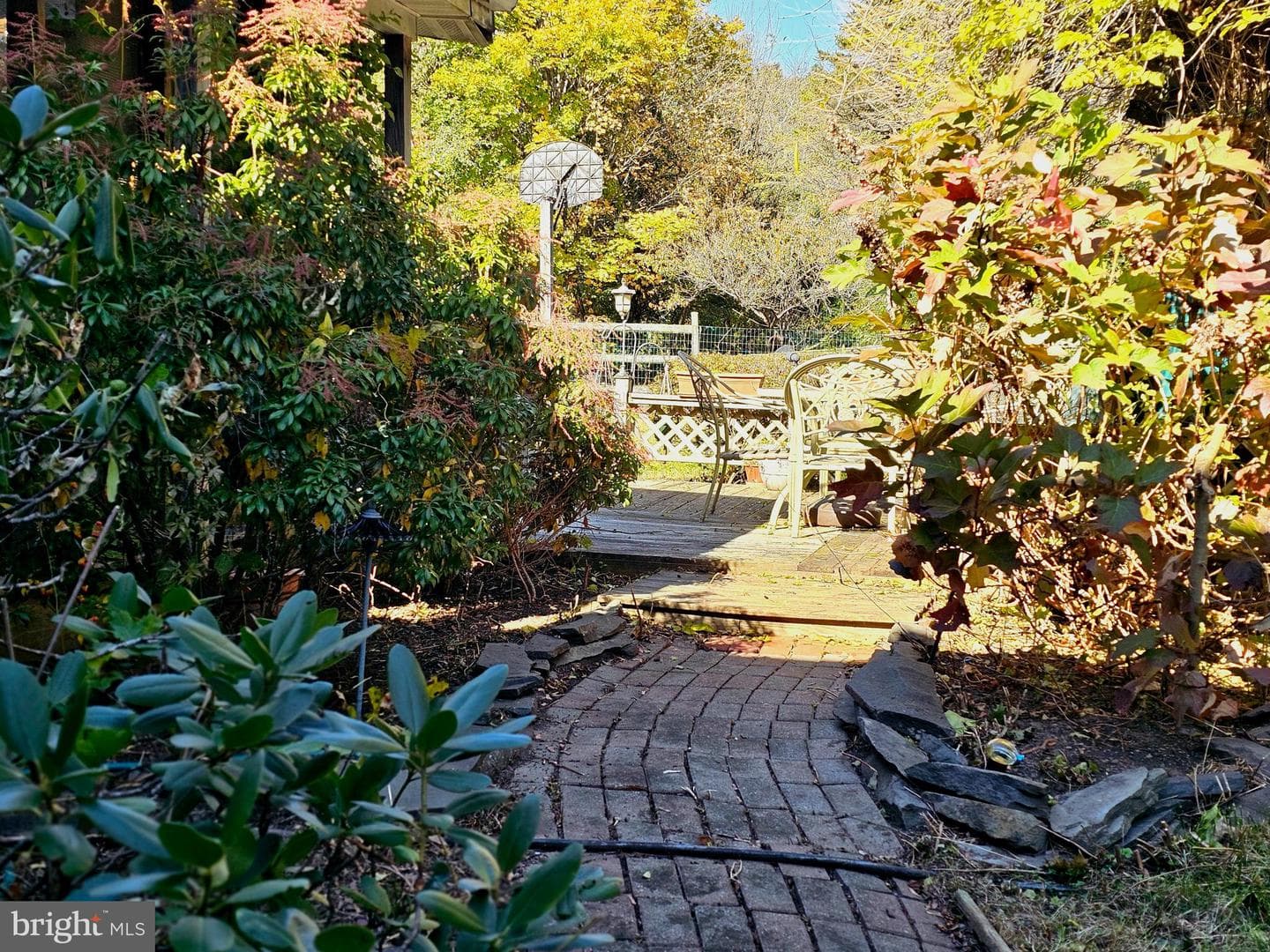 243 Linden Lane photo 18