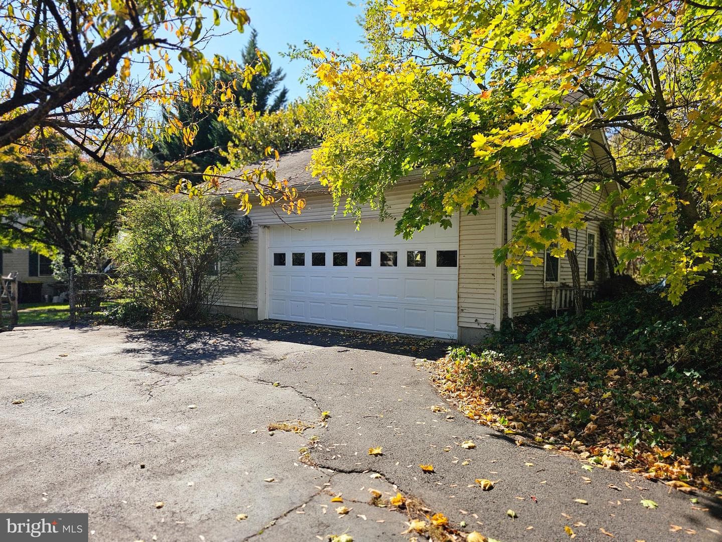 243 Linden Lane photo 20