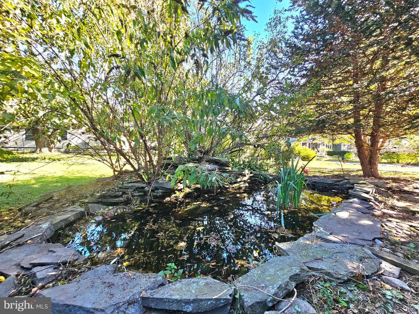 243 Linden Lane photo 22