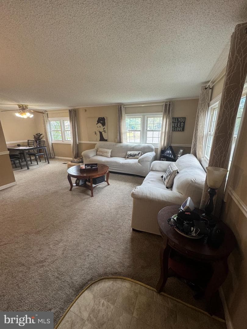 8306 Windsor Drive photo 4