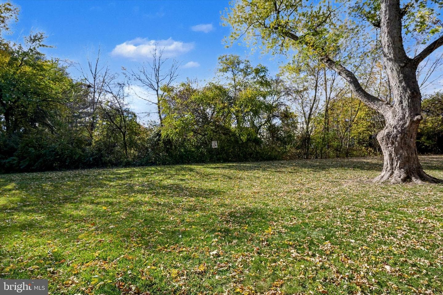 1155 York Road #d8 photo 16