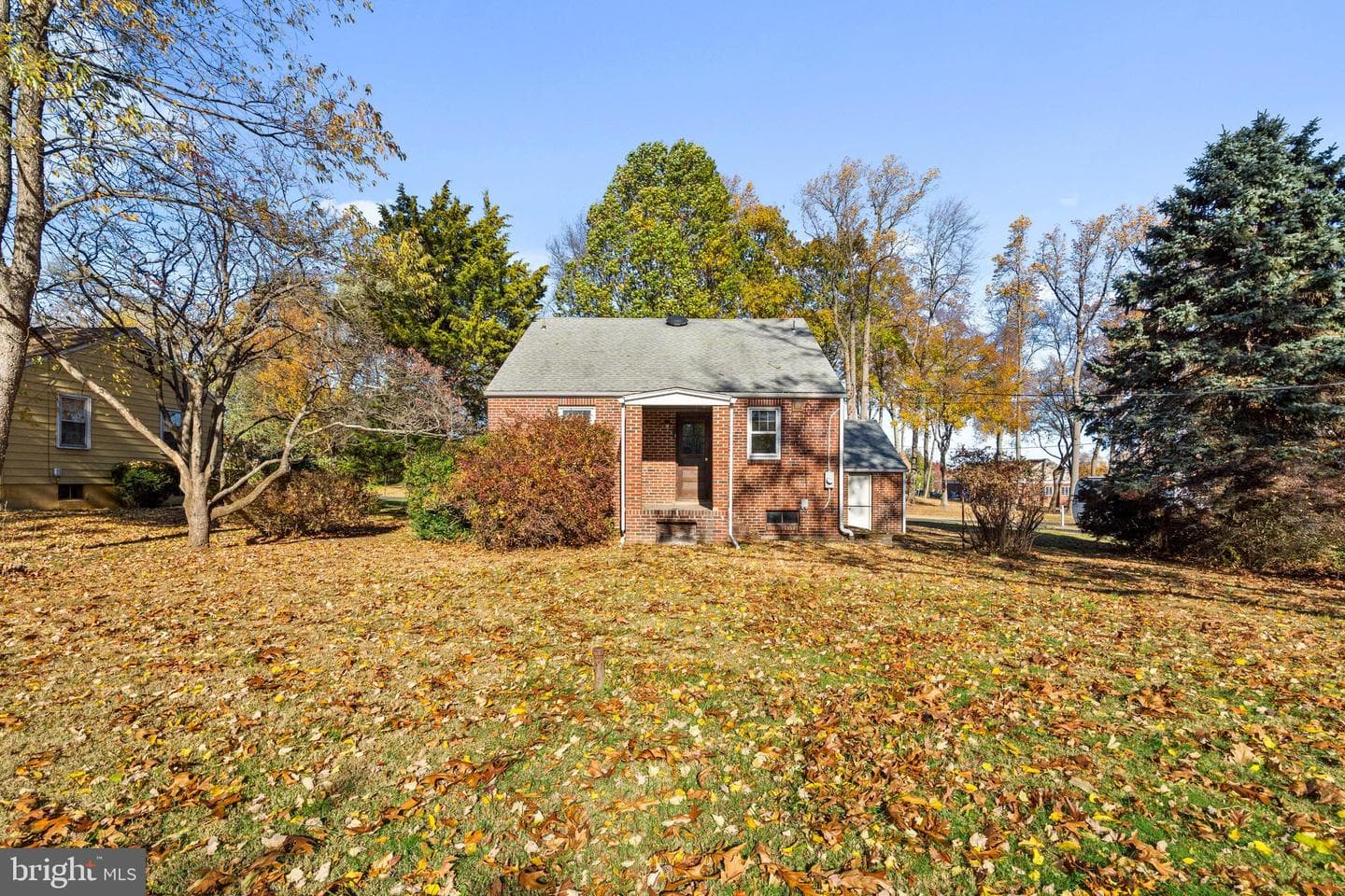 39 Woodbine Avenue photo 24