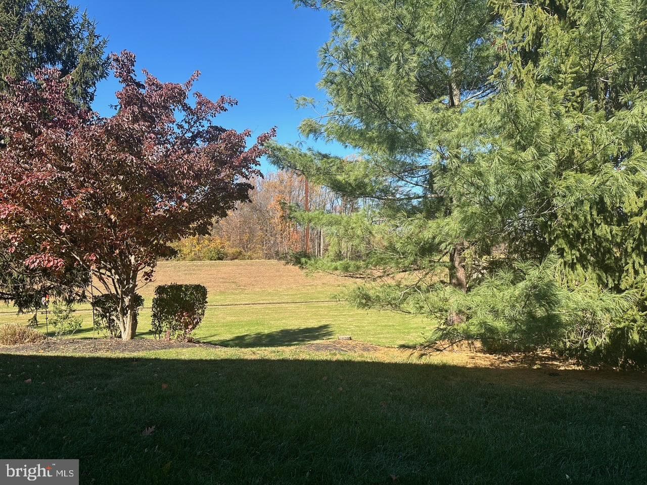 146 Grandview Drive photo 3