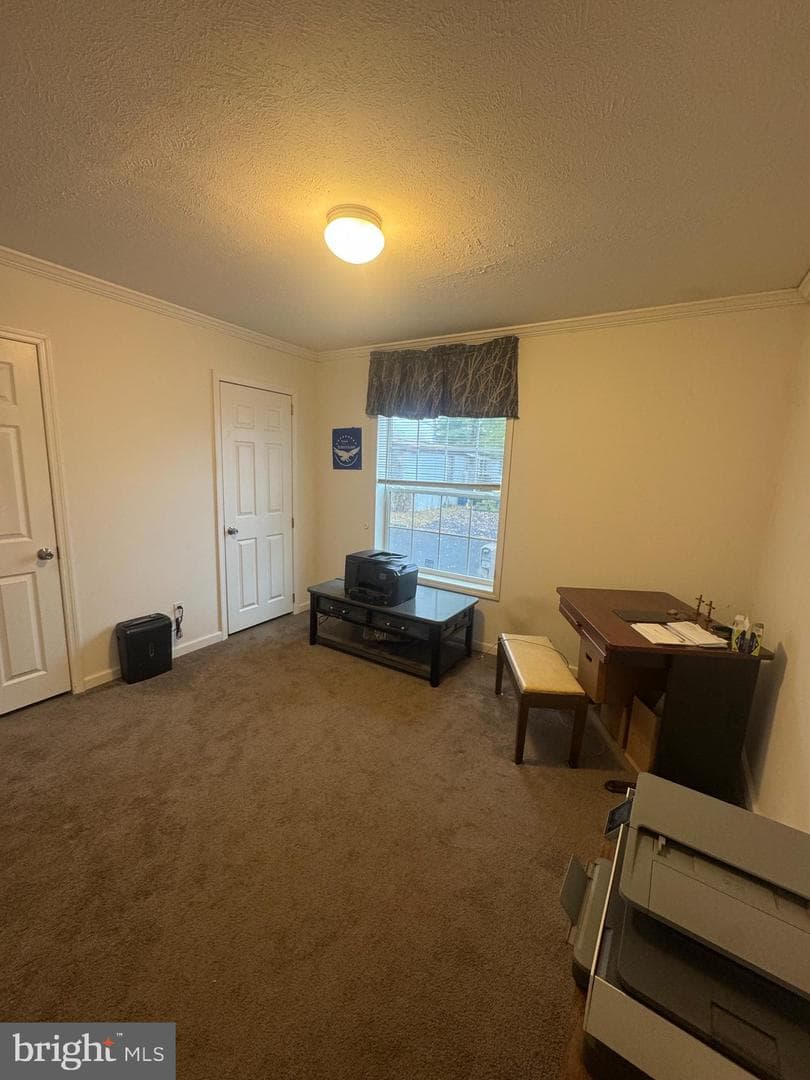 5057 Grace Drive photo 11