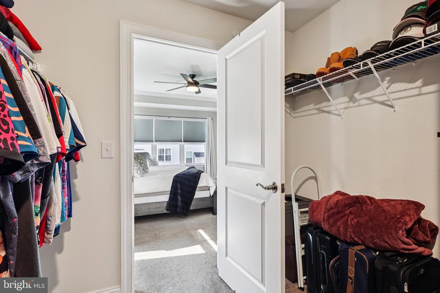 8 Lacey Lane photo 26