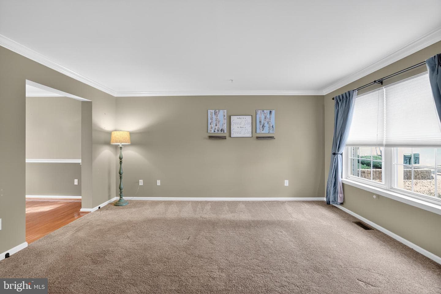 311 Goldenrod Court photo 11