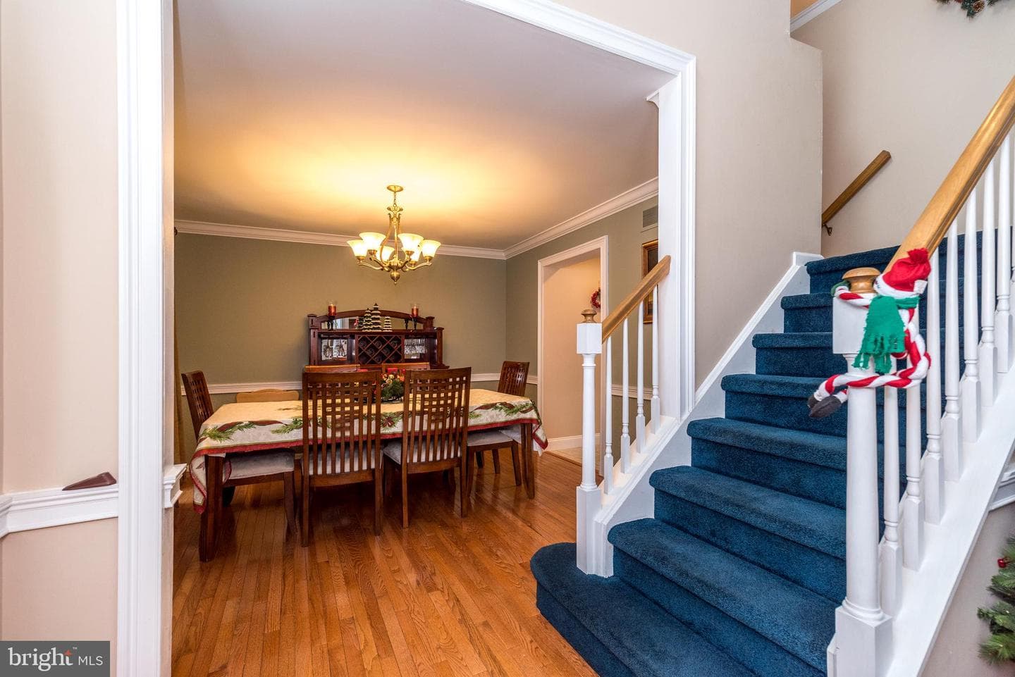 546 Clydesdale Drive photo 21