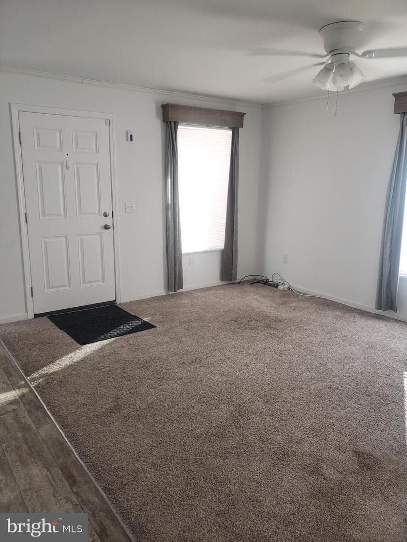 66 Cedar Drive photo 12