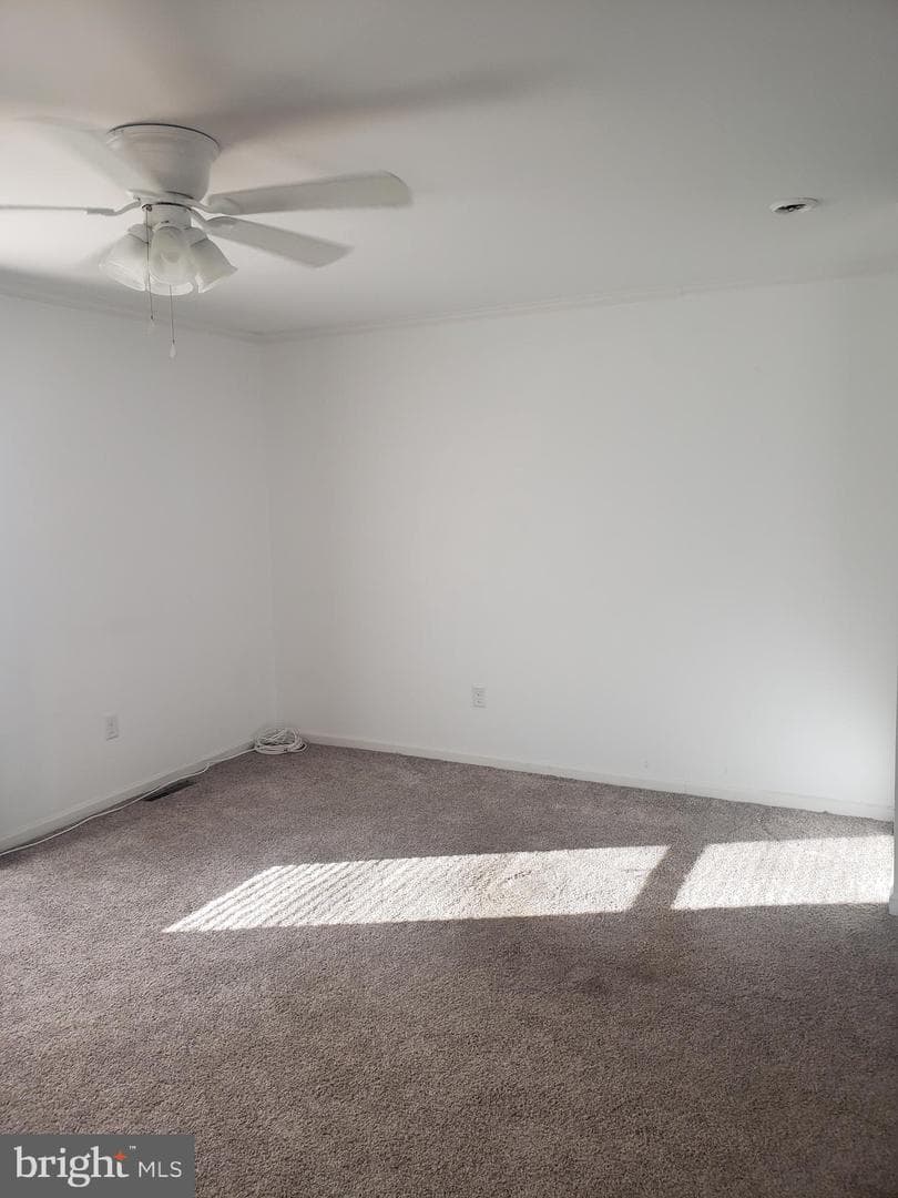 66 Cedar Drive photo 6