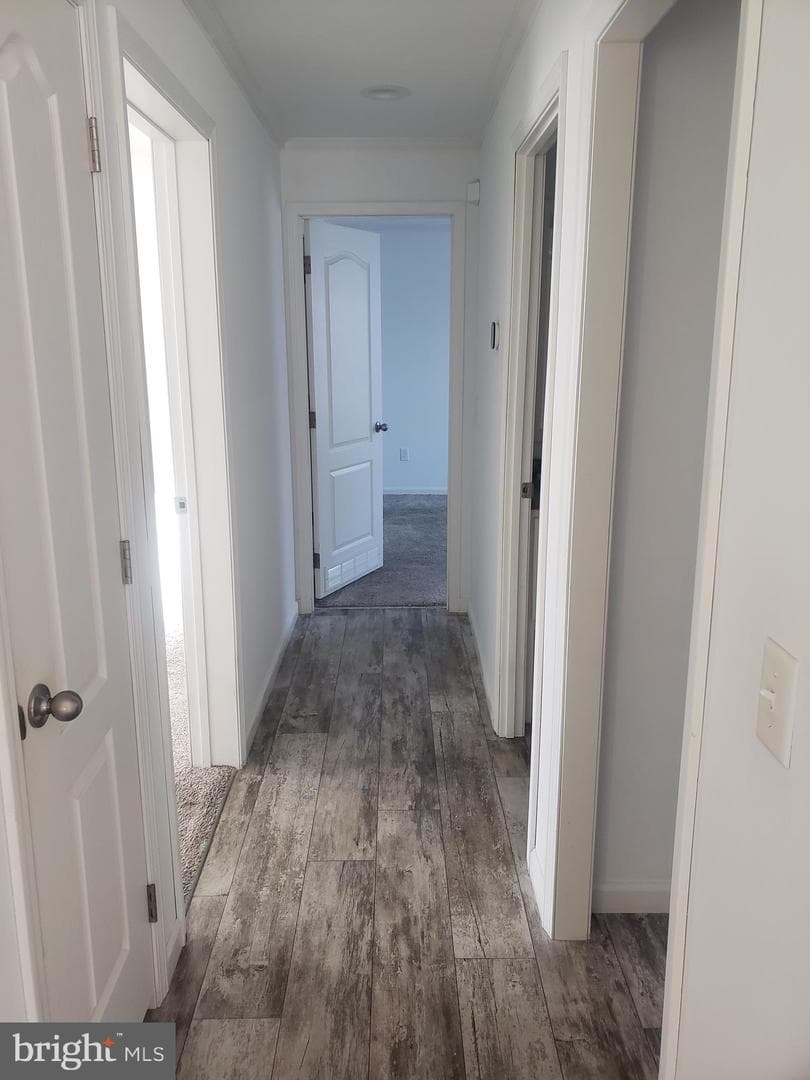 66 Cedar Drive photo 8