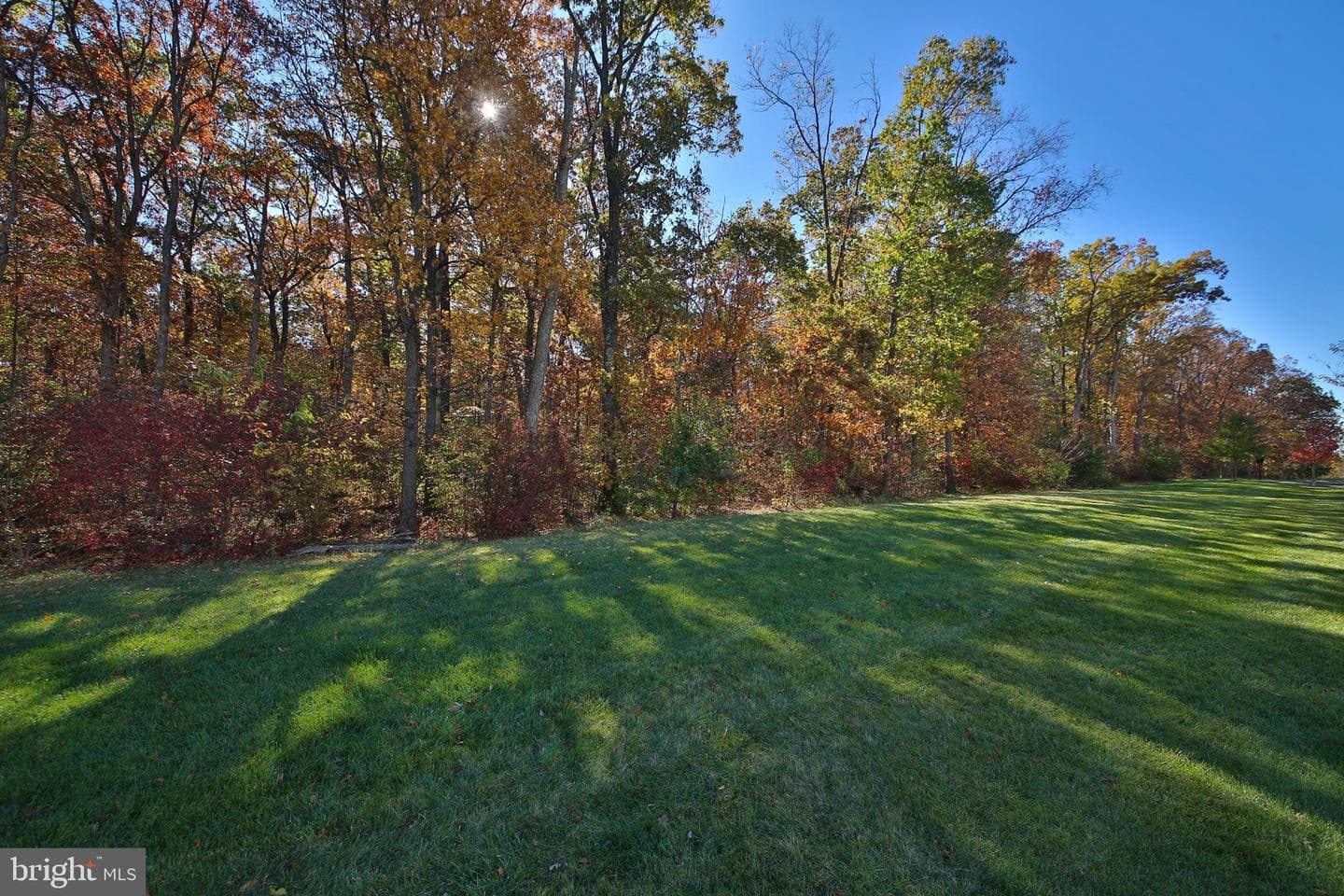 3723 William Daves Road photo 6