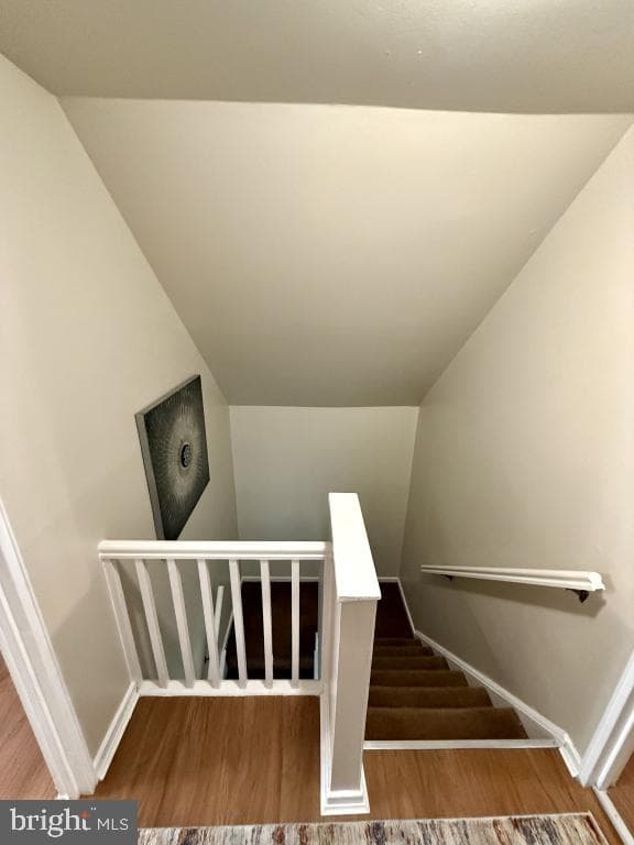 554 Doloro Drive photo 12