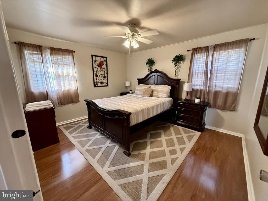 554 Doloro Drive photo 8