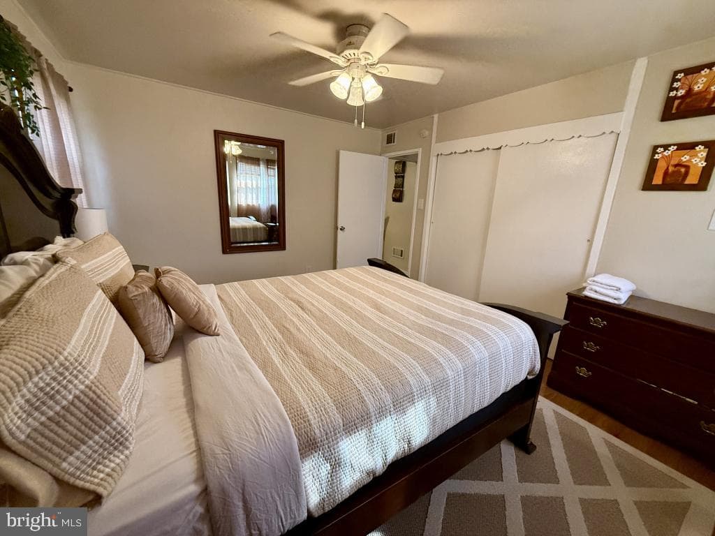 554 Doloro Drive photo 9