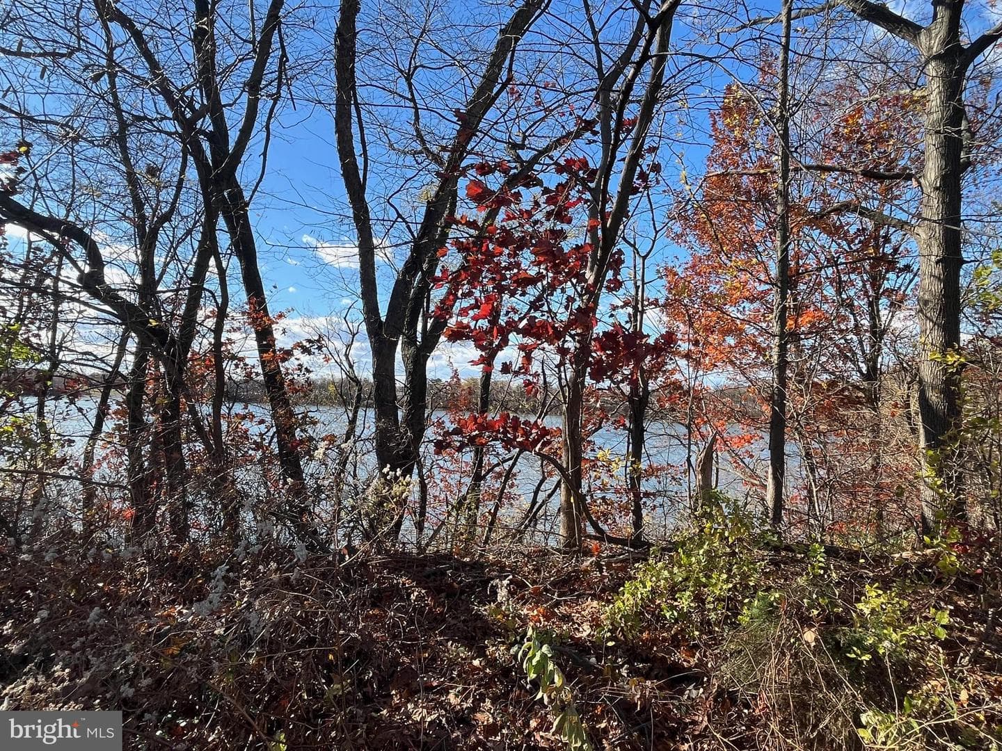 394 Lakeside Drive photo 24