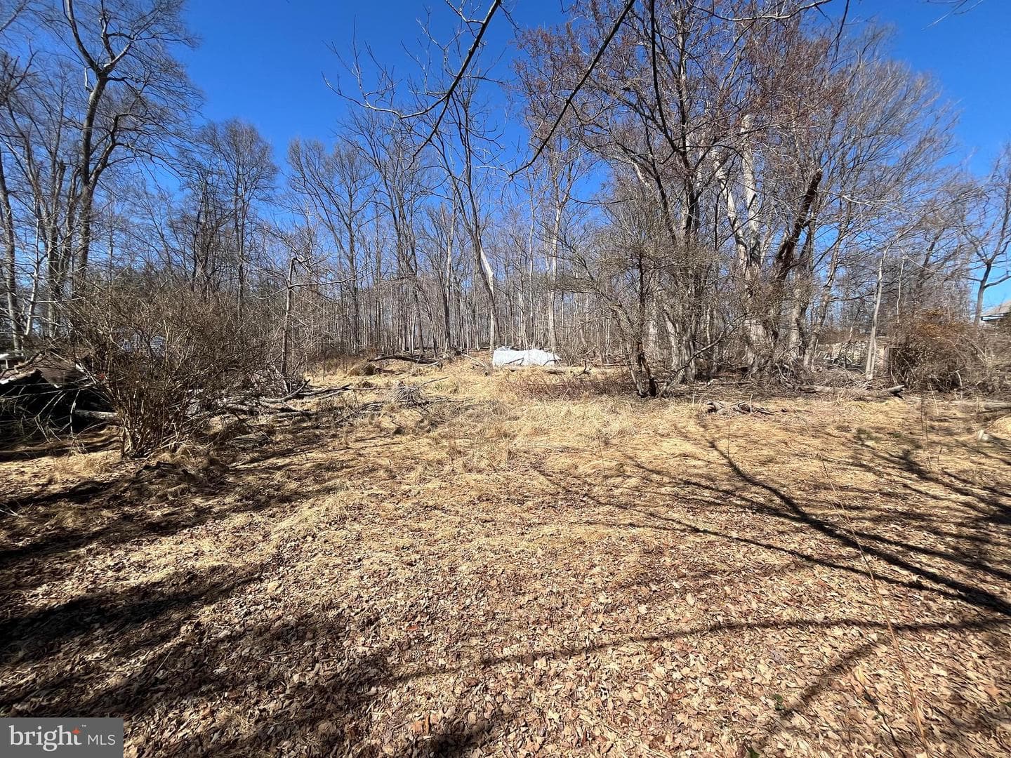 1165 Apple Road photo 37