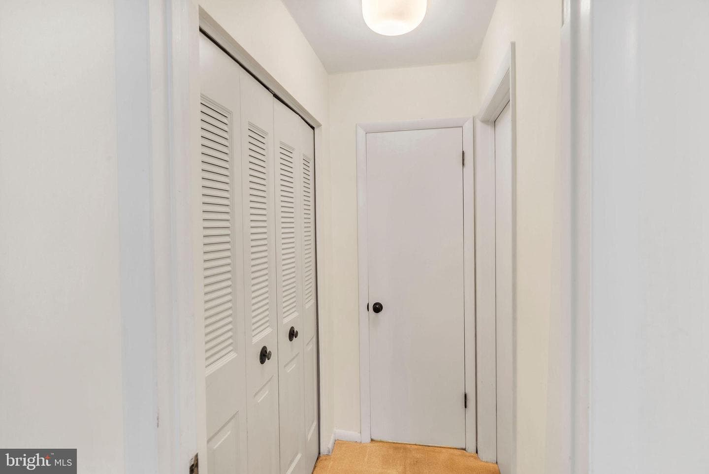 333 Dorset Court photo 14