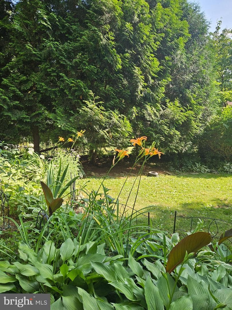 913 Old Bethlehem Road photo 24