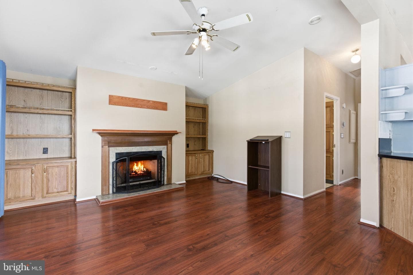 435 Spring Meadow Circle photo 17
