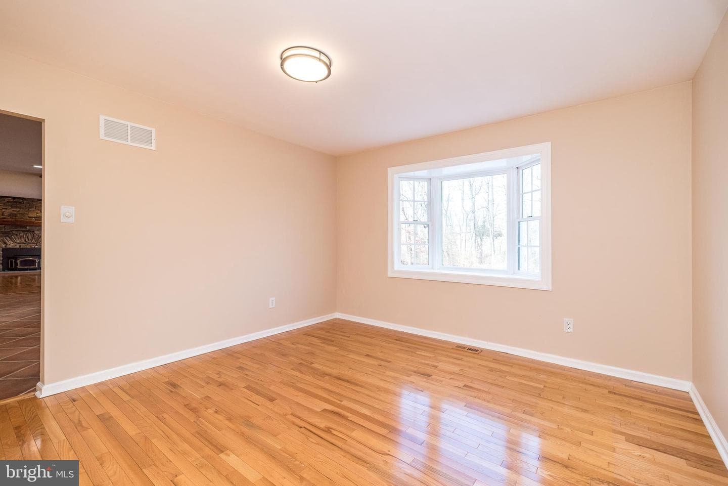 46 John Dyer Way photo 14