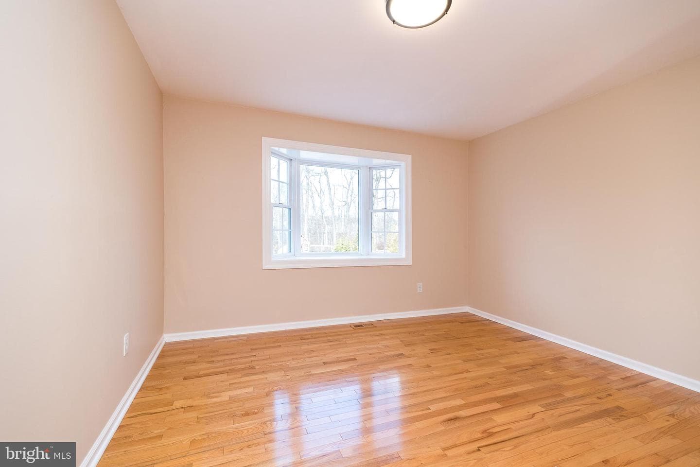 46 John Dyer Way photo 16