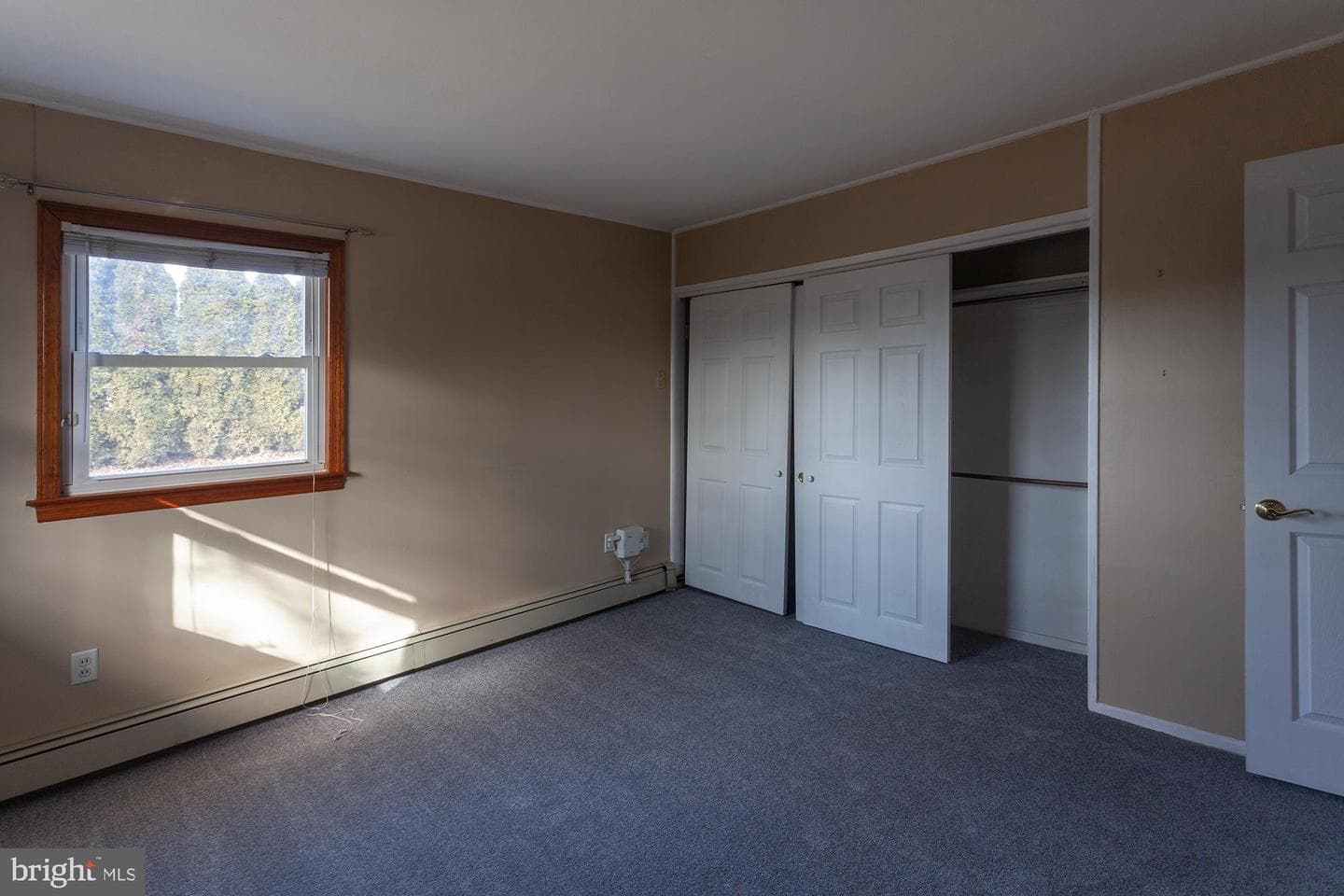 273 Birch Drive photo 19