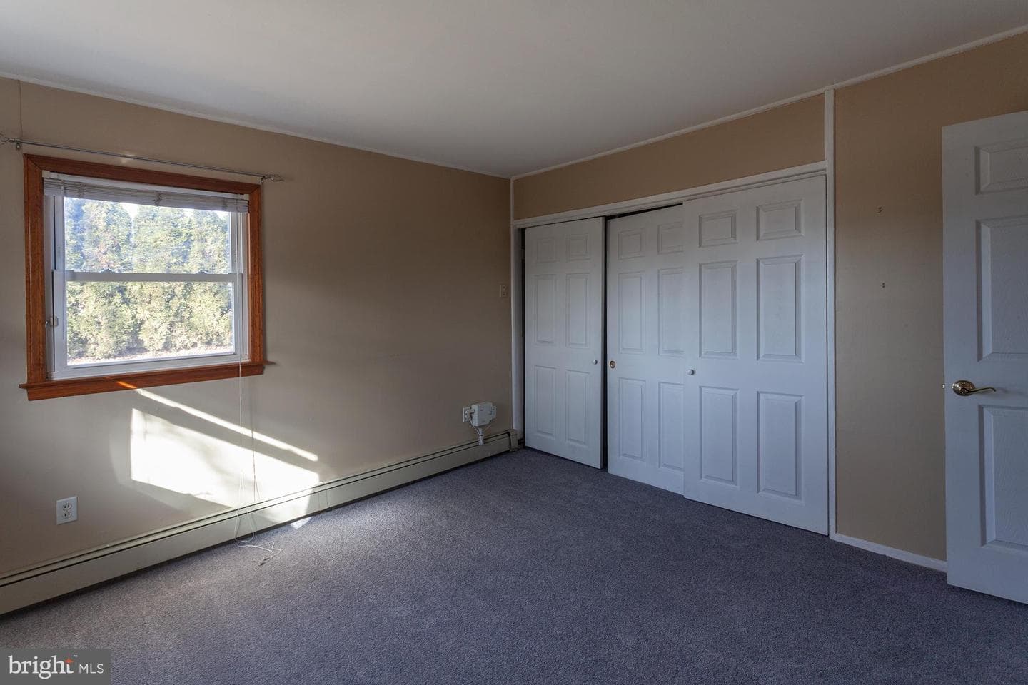 273 Birch Drive photo 20