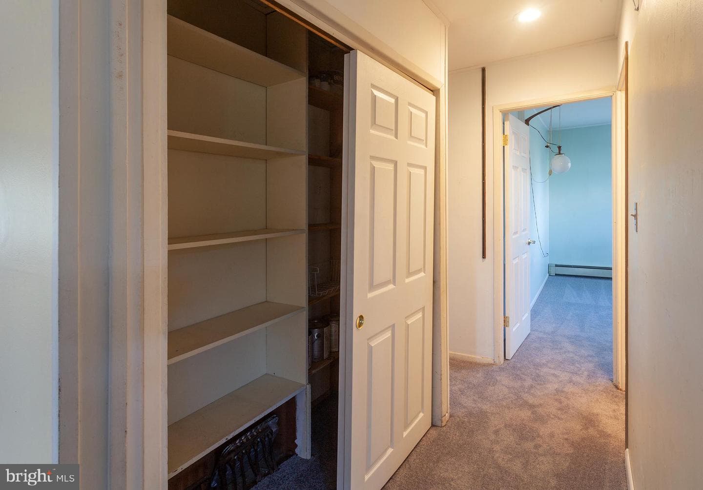 273 Birch Drive photo 29