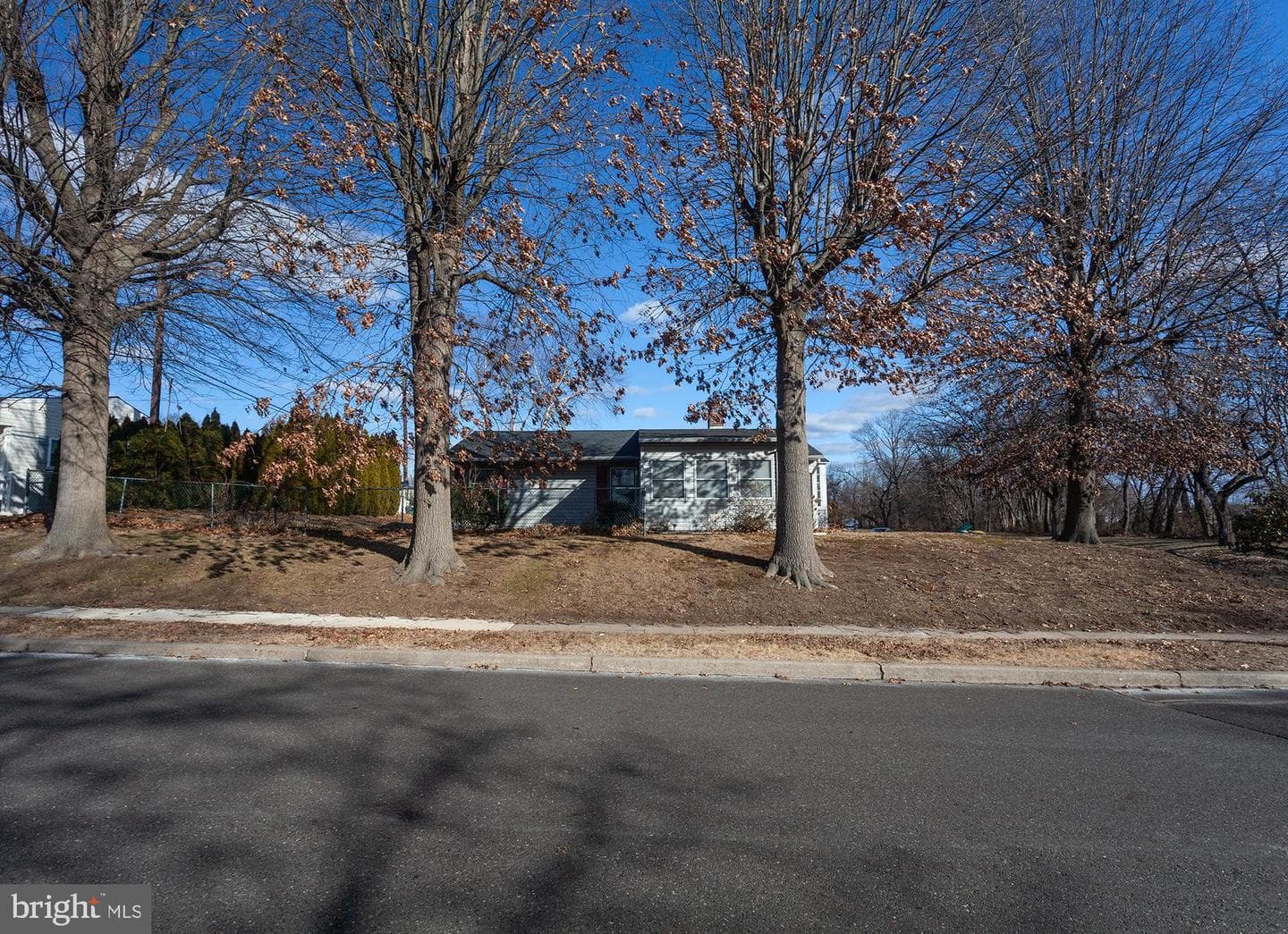 273 Birch Drive photo 3